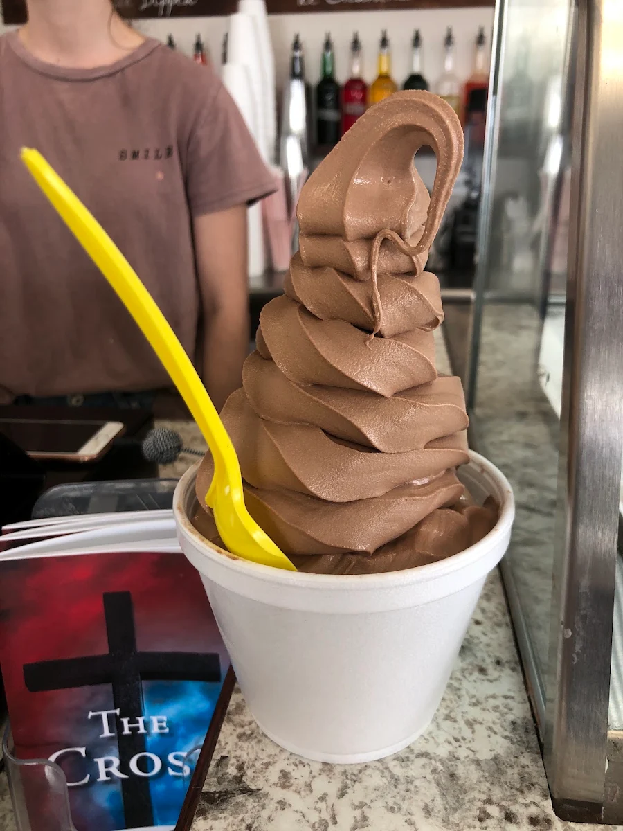 Chocolate Overload Frozen Yogurt