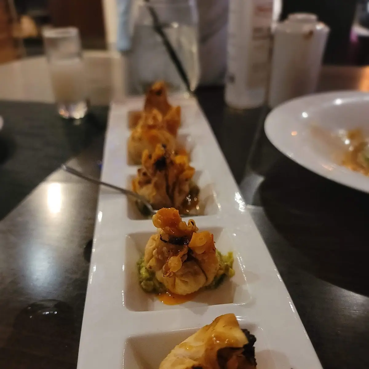 Spicy Tuna Gyoza 5