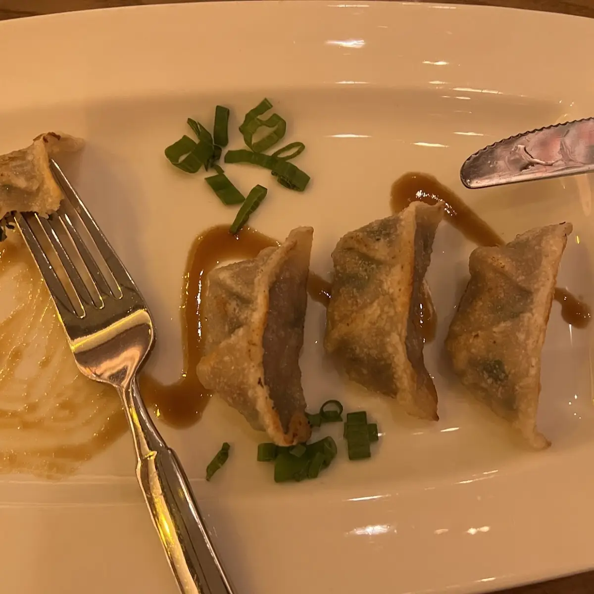 Pan Fried Pork Dumplings