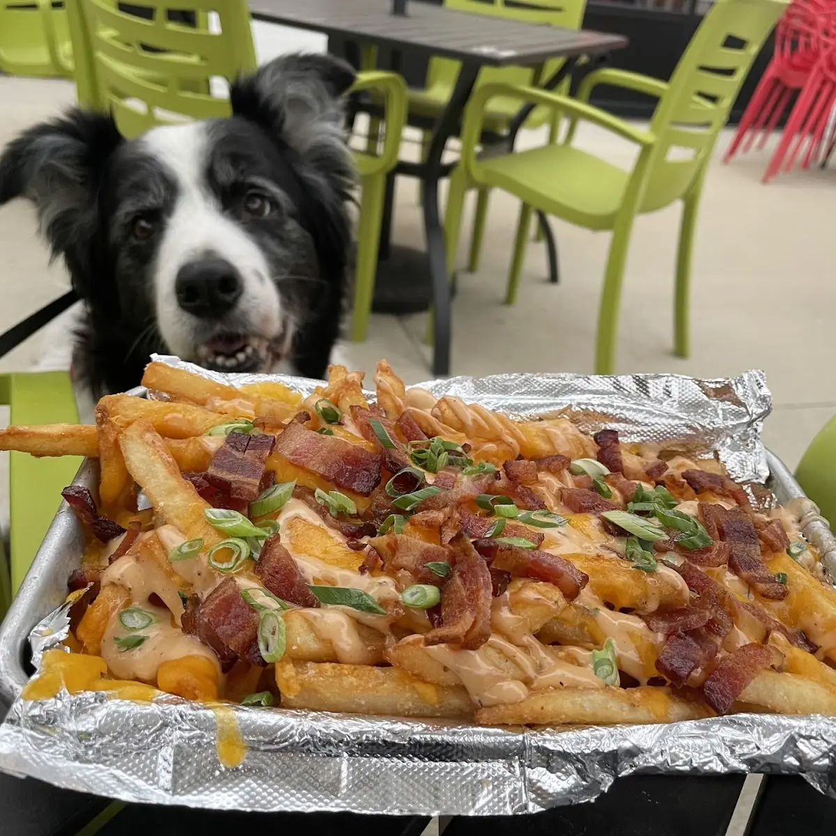 Loaded Fries