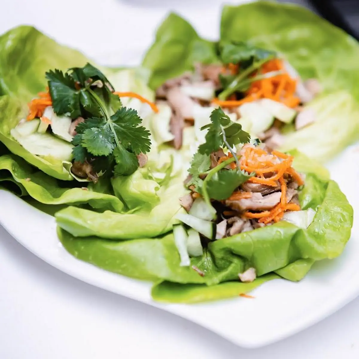 Chicken Lettuce Bowl Qty-3