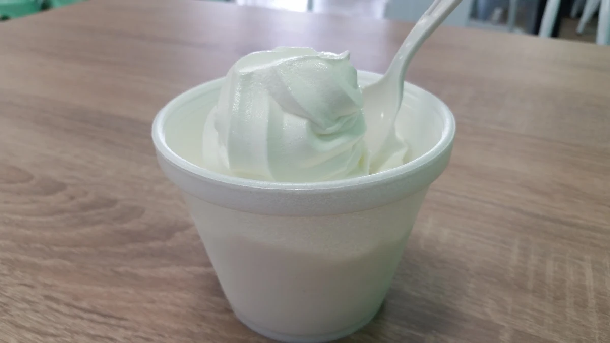 Vanilla Ice Cream