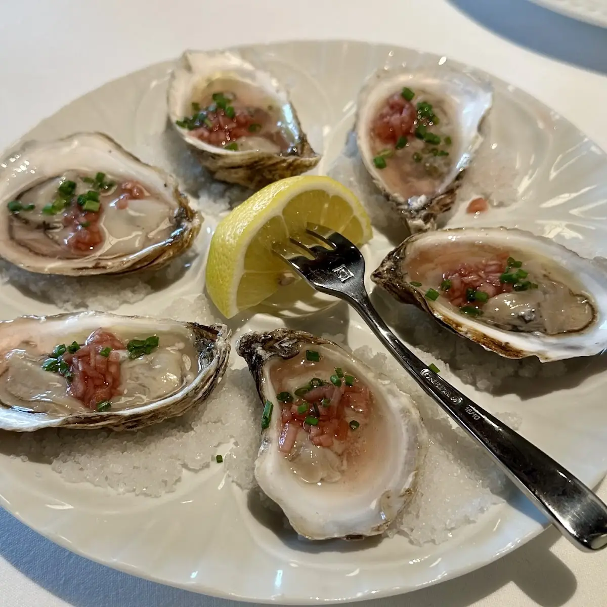 Fresh Oysters