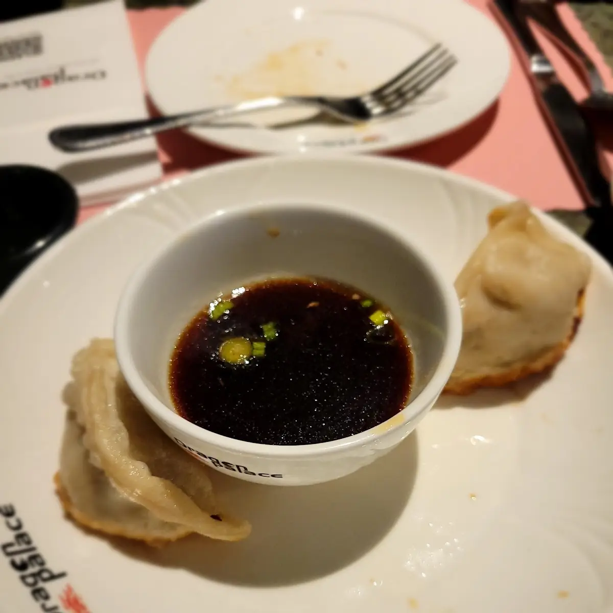 Fried Dumplings