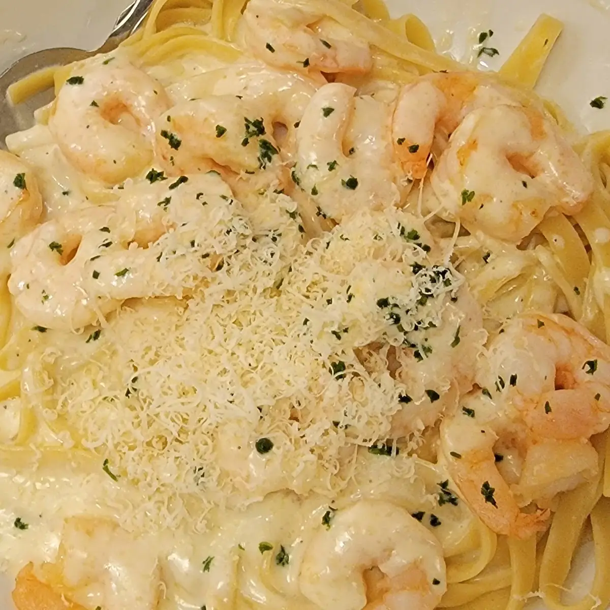Shrimp Alfredo