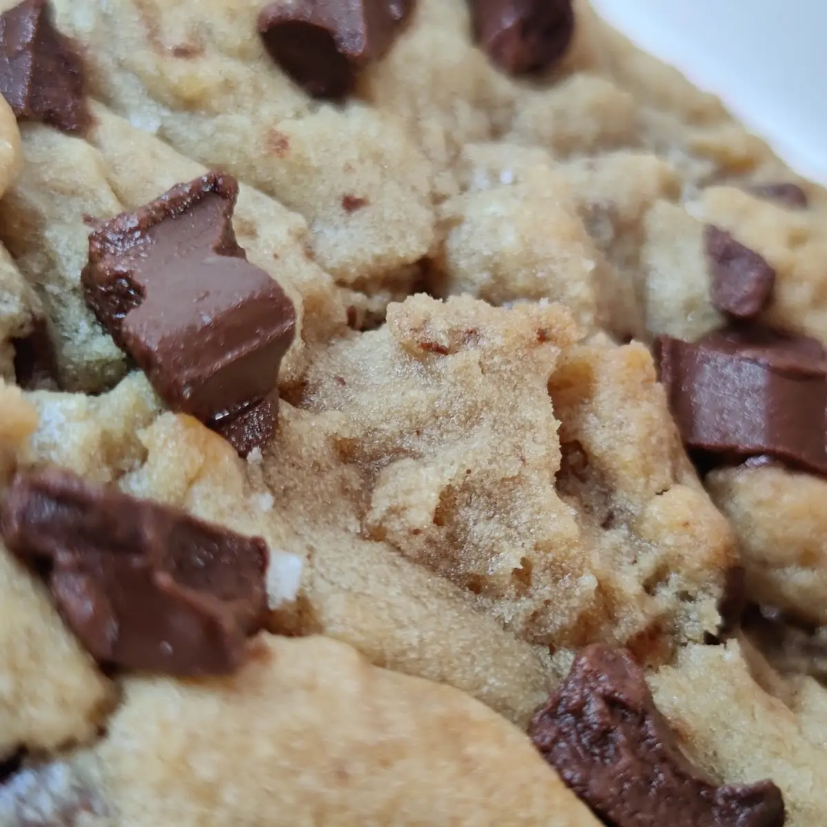 Chocolate Chip Cookie