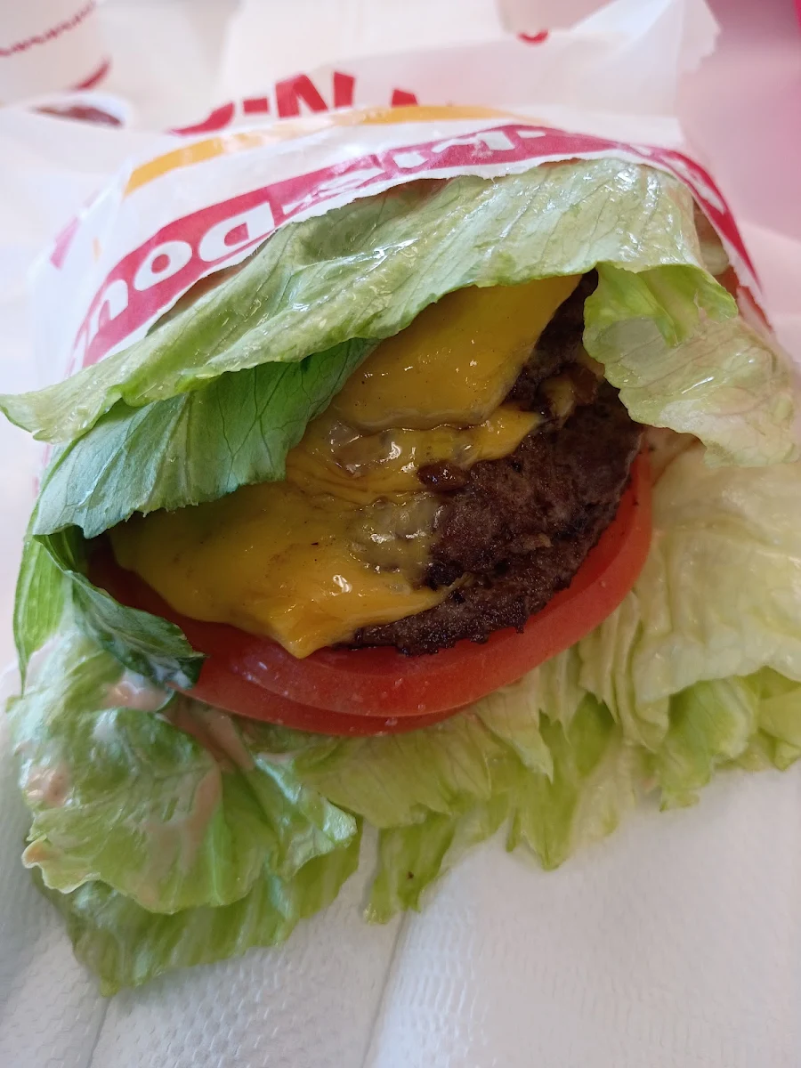 Wrapped in Lettuce