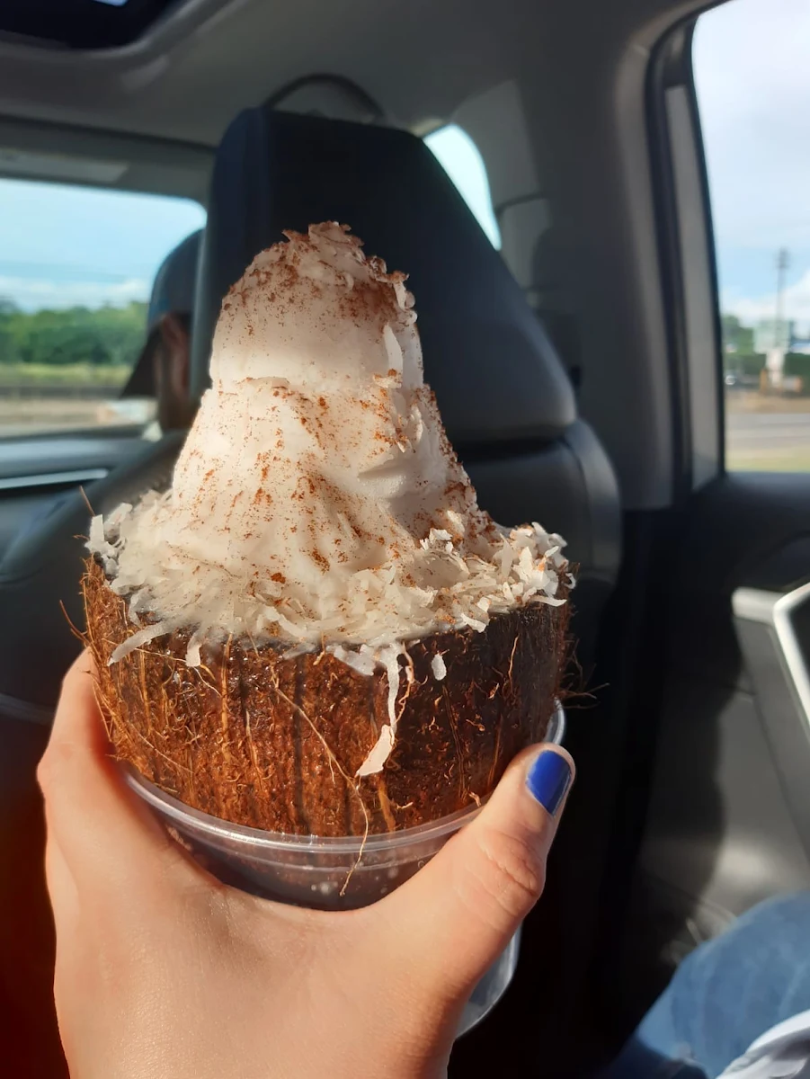 Coconut Ice Cream on a Coconut