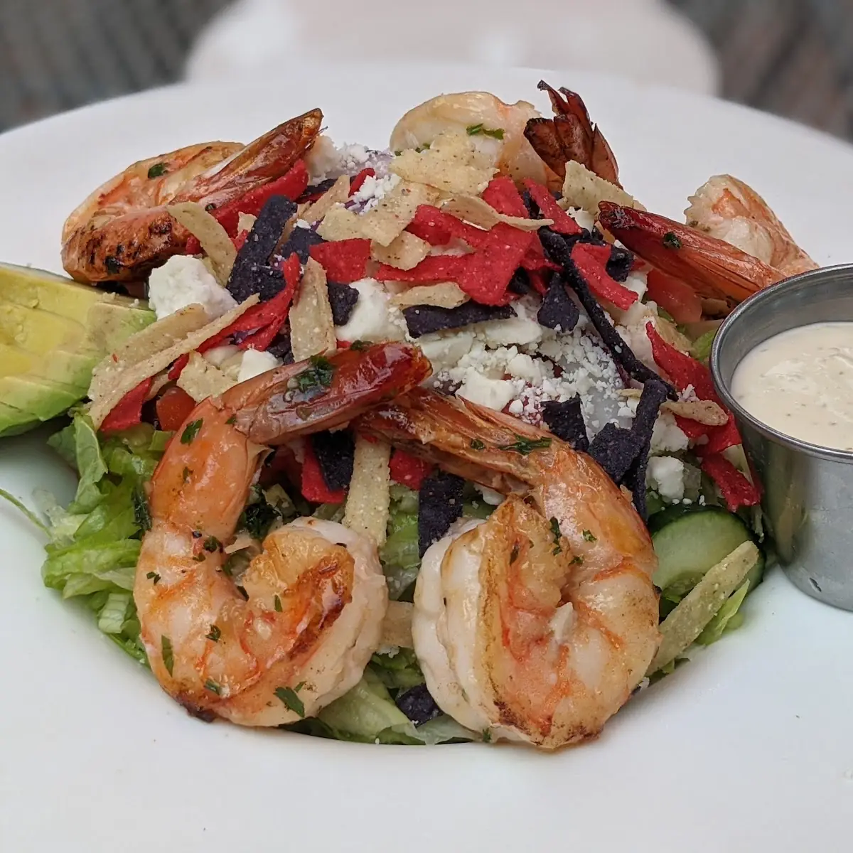 Cabo Grilled Shrimp Salad