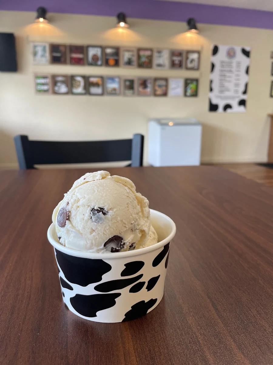 Gluten Free Vanilla