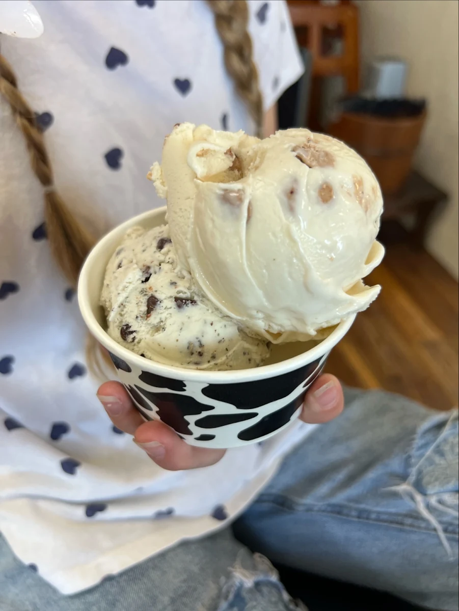 Mint Chocolate Chip