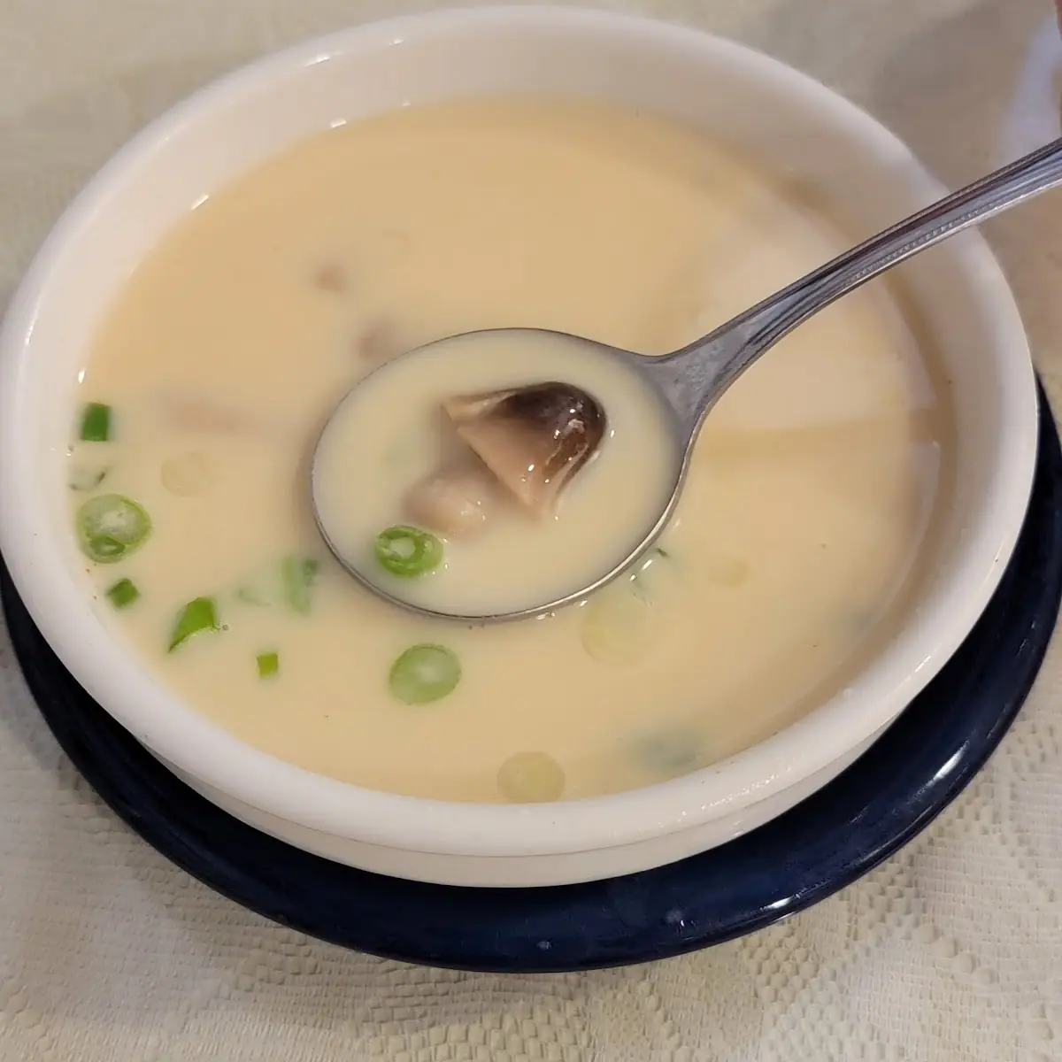 Hot and Sour Chicken Soup