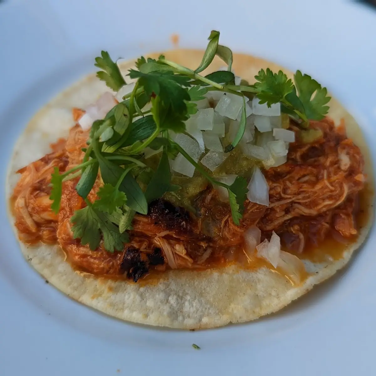Carnitas Taco