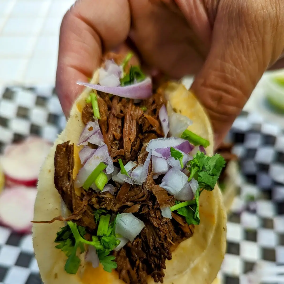 Pollo Asada Taco and Birria Tacos