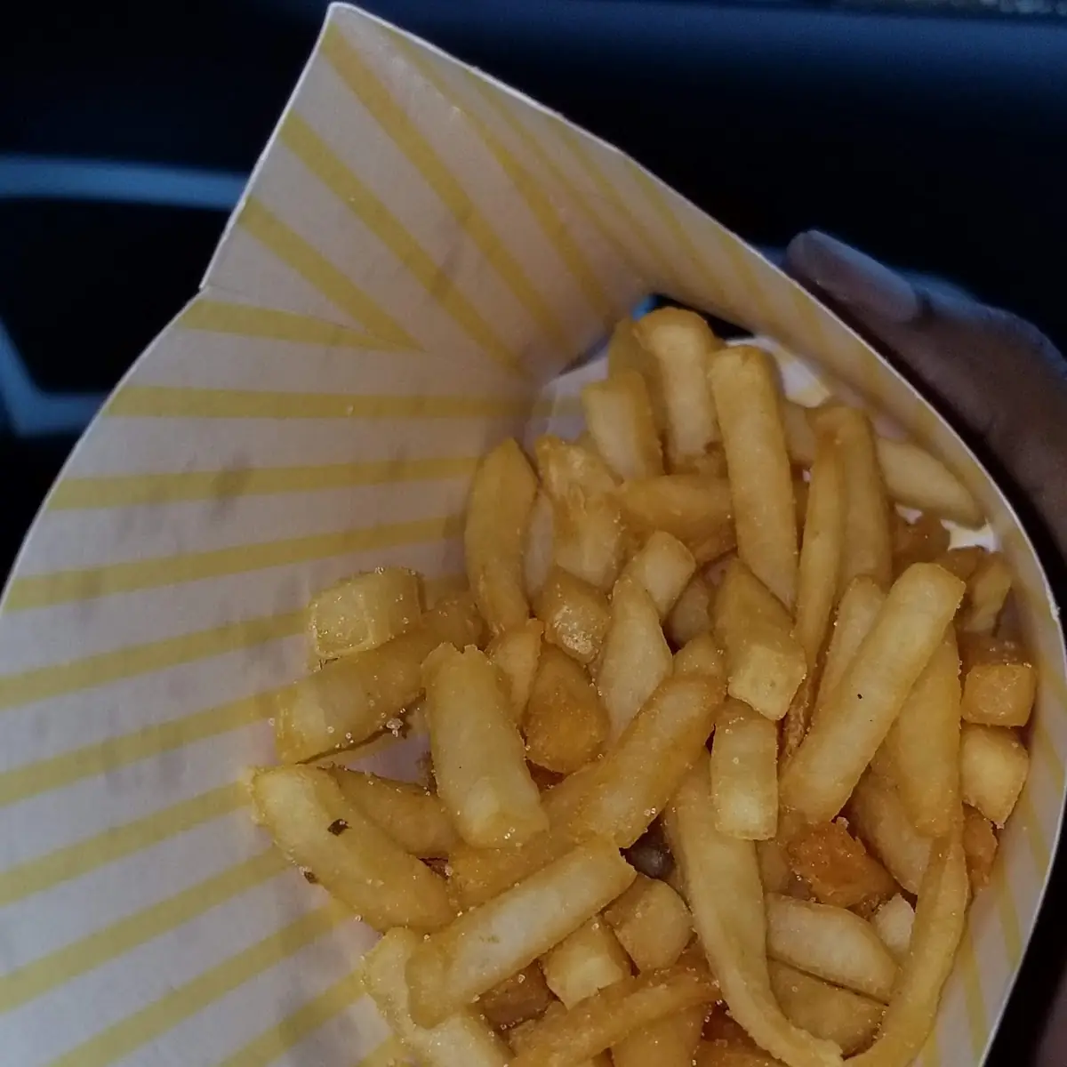 World Famous Fries