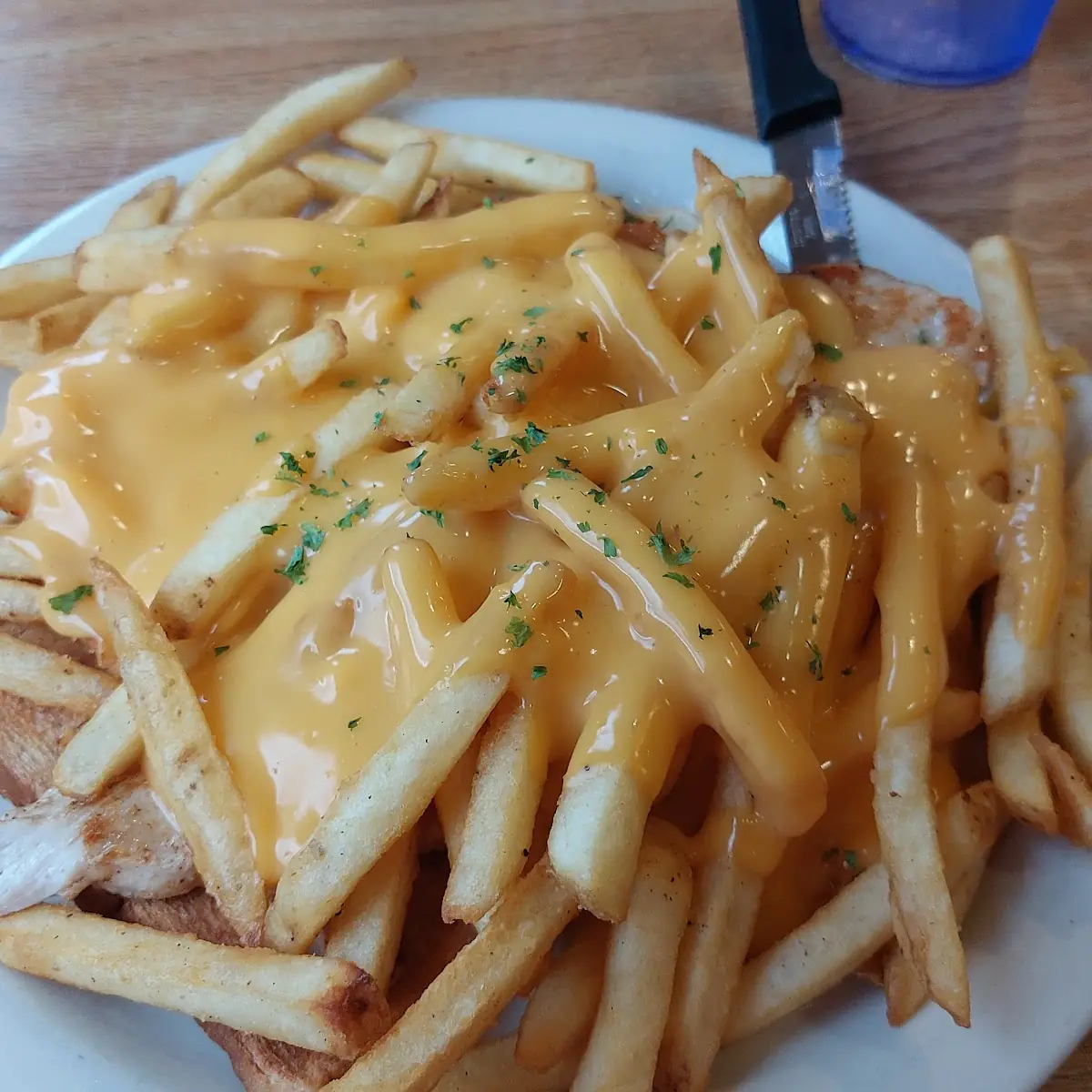 Cheese Fries