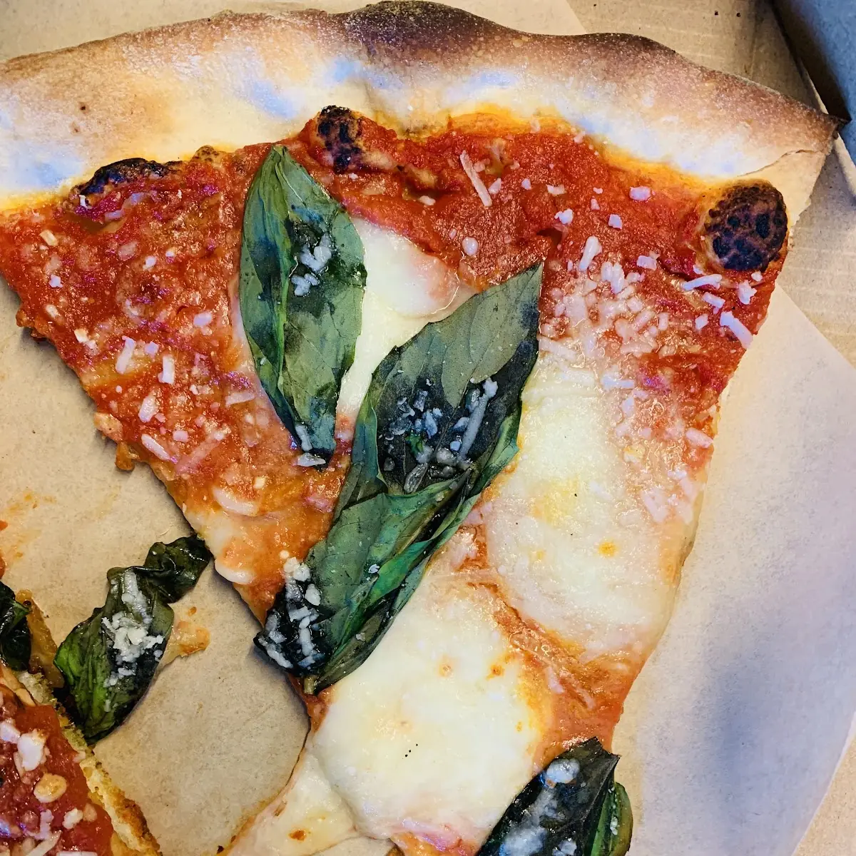 Margherita Pizza Slice