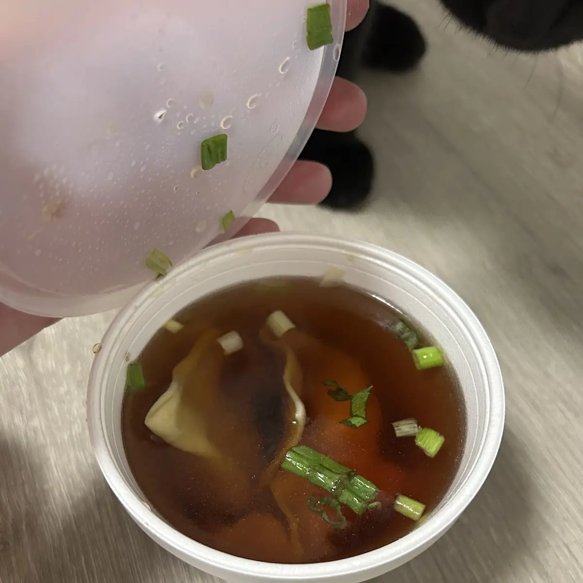 Wonton Soup