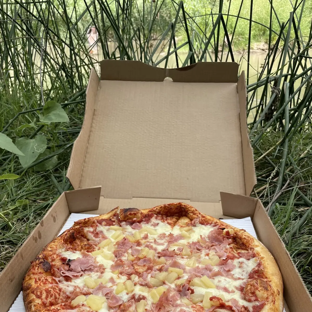 Hawaiian Pizza