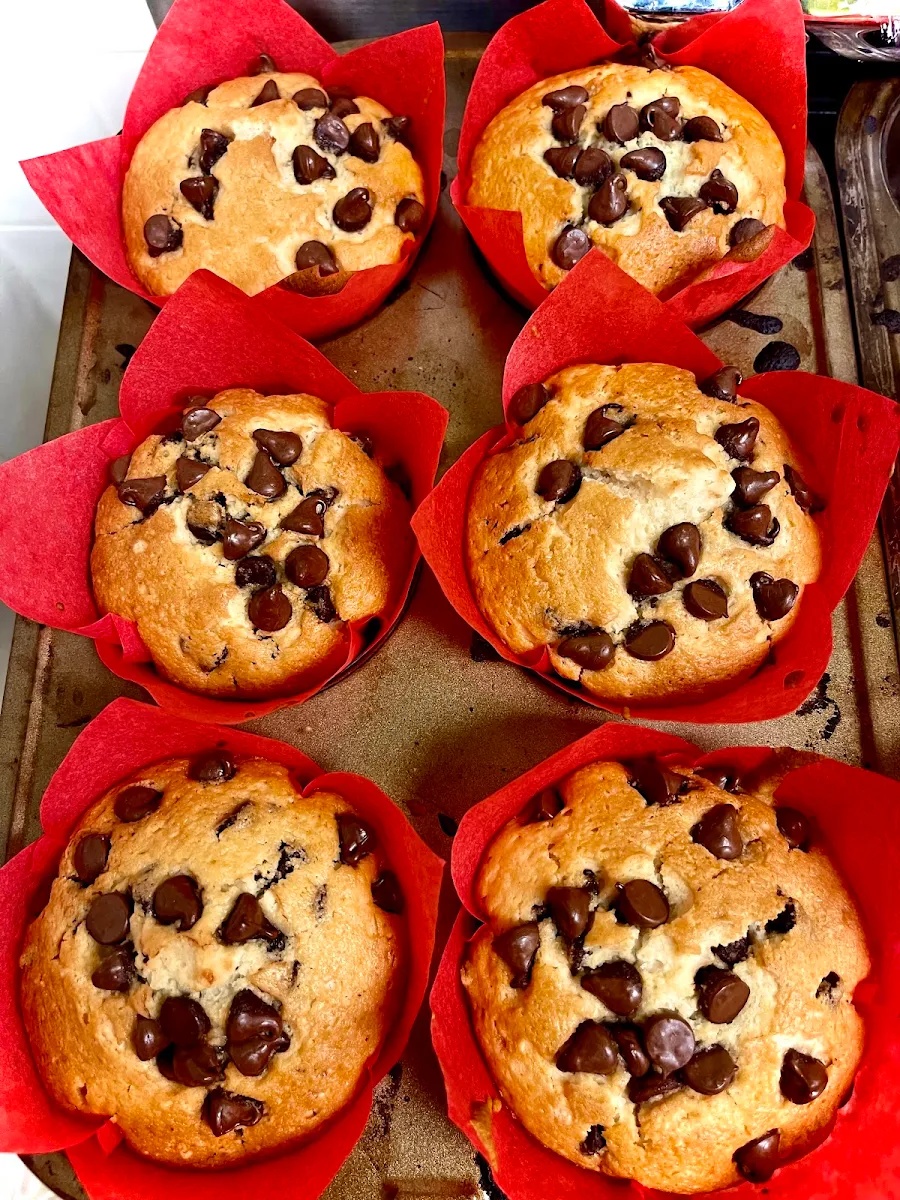 Chocolate Chip Muffin