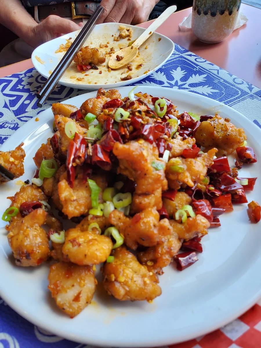Sichuan Spicy Chicken
