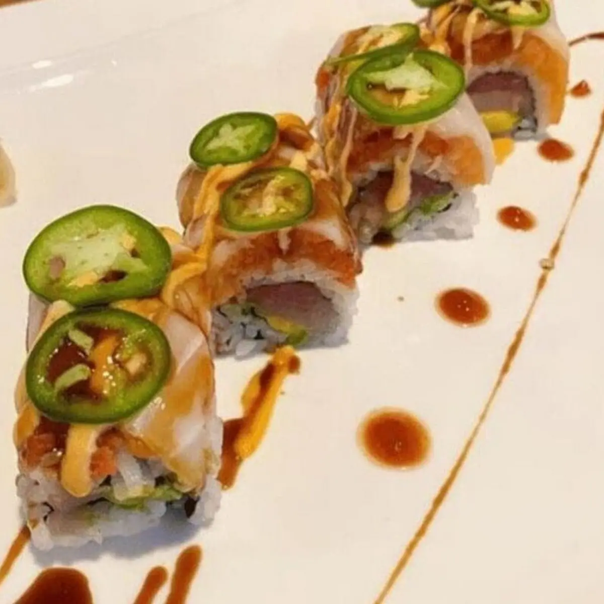 Sushi & Sashimi Combo
