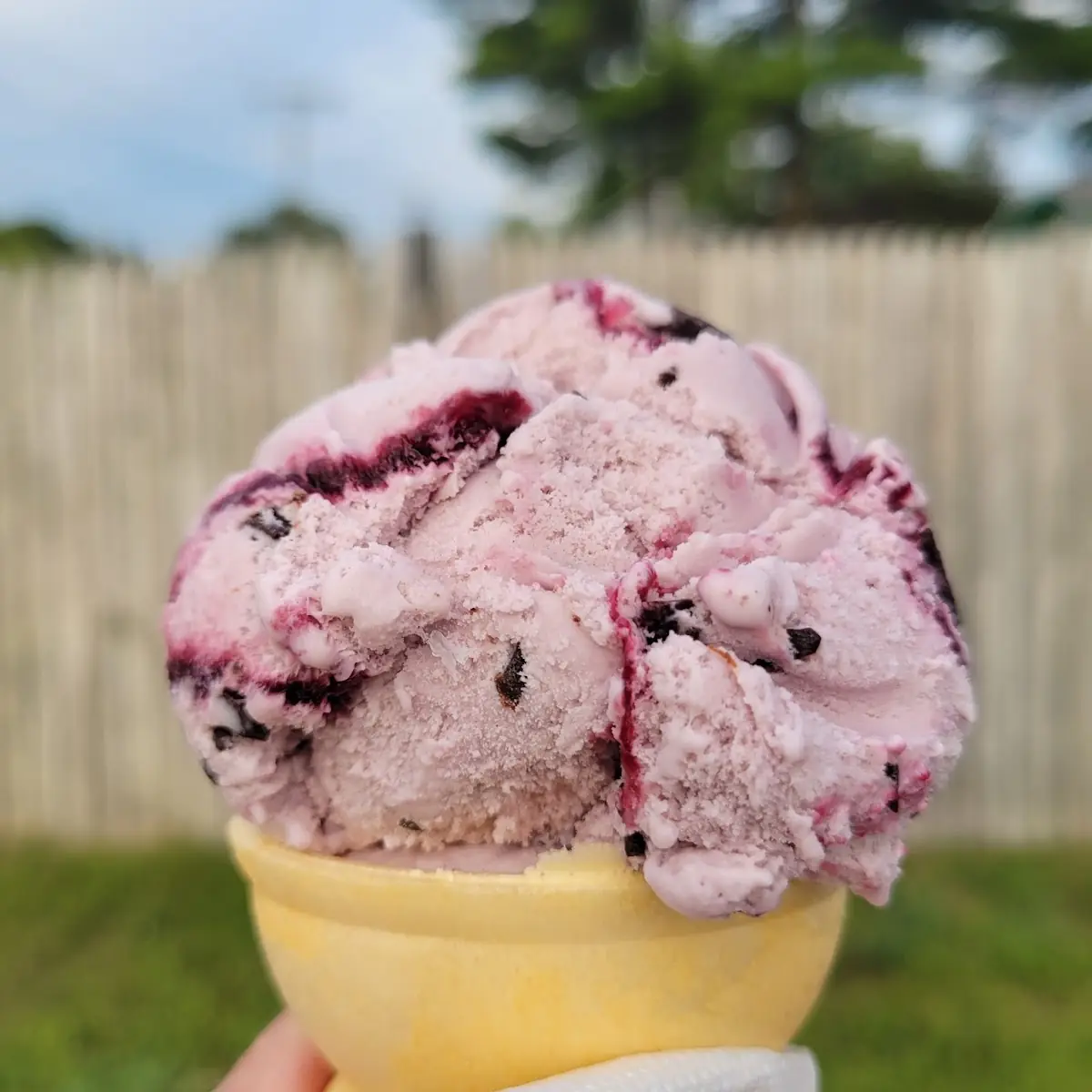 Blackberry Dark Chocolate Chunk