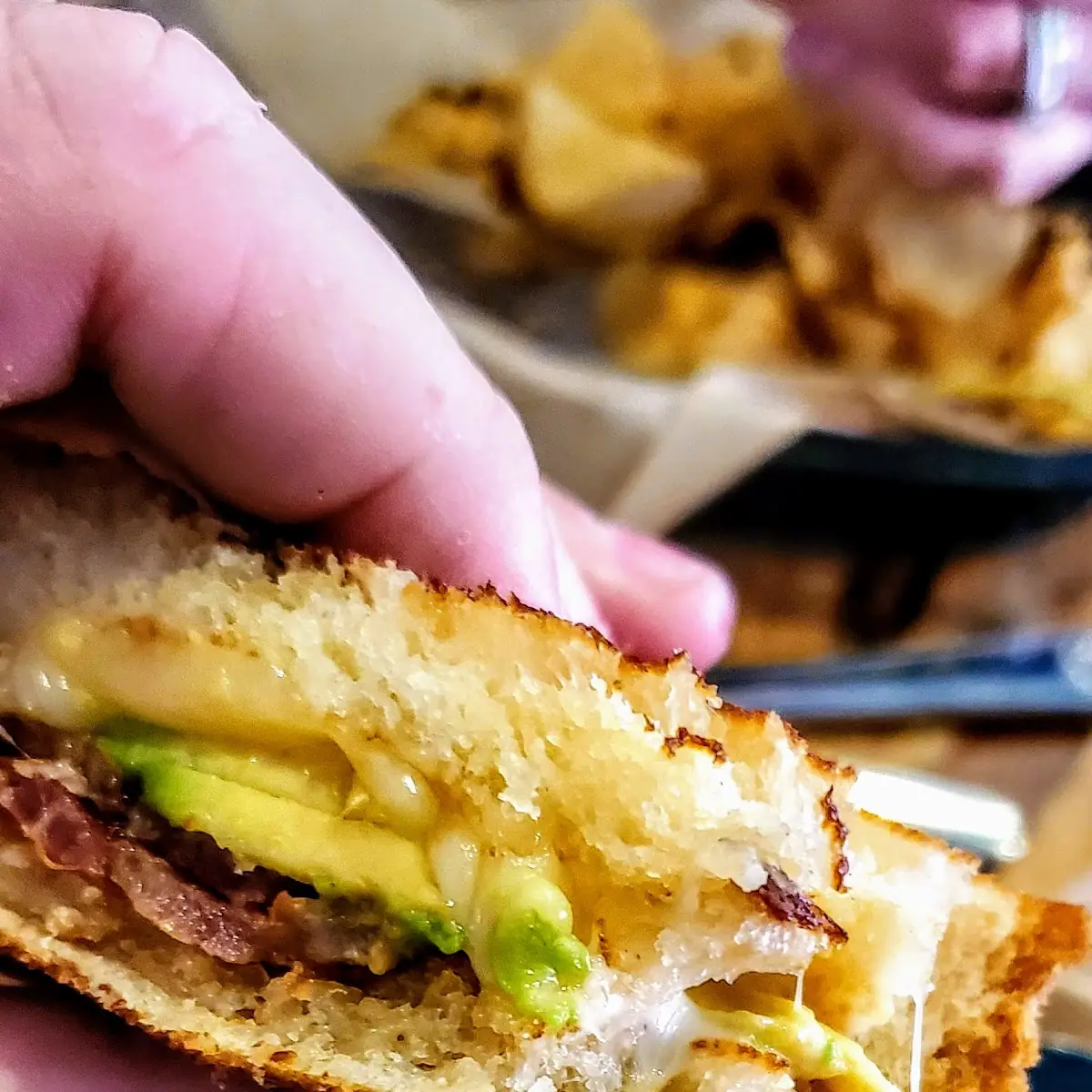 Gourmet Grilled Cheese Sandwich