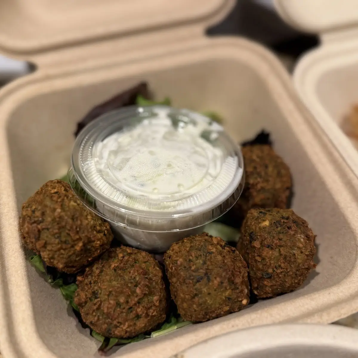 Falafel with Tzatziki Sauce