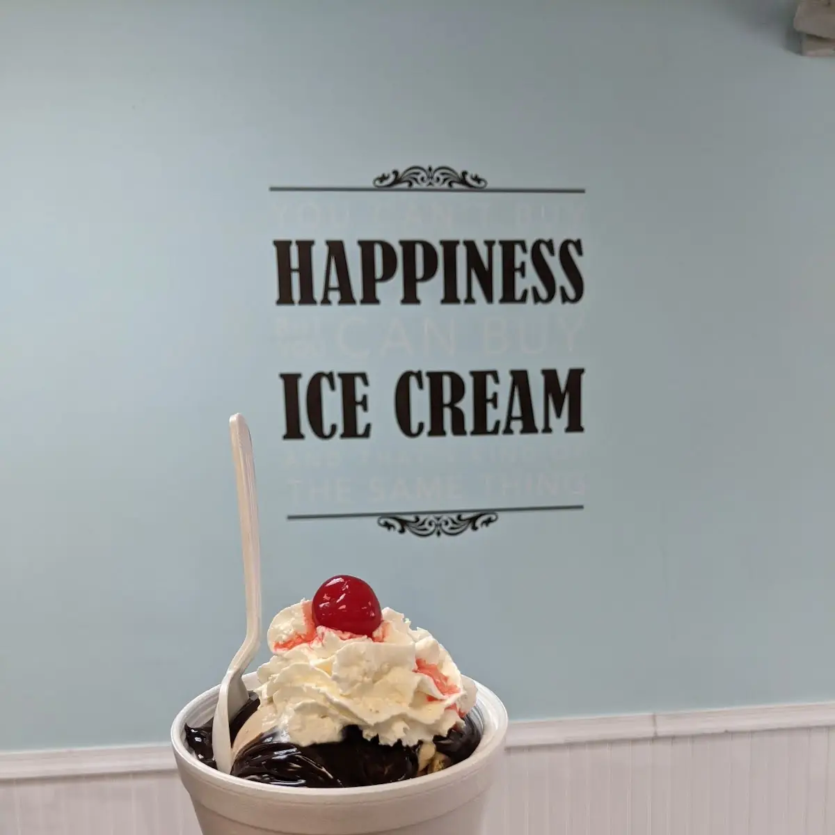Single Scoop Hot Fudge Sundae