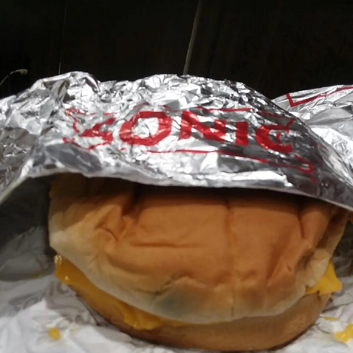 Sonic Burger with Moldy Bun