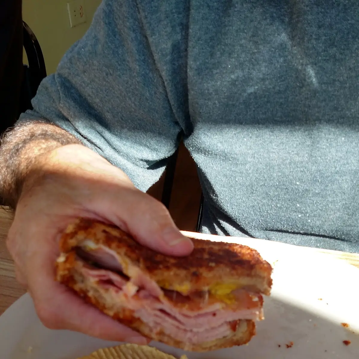 Grilled Ham Sandwich