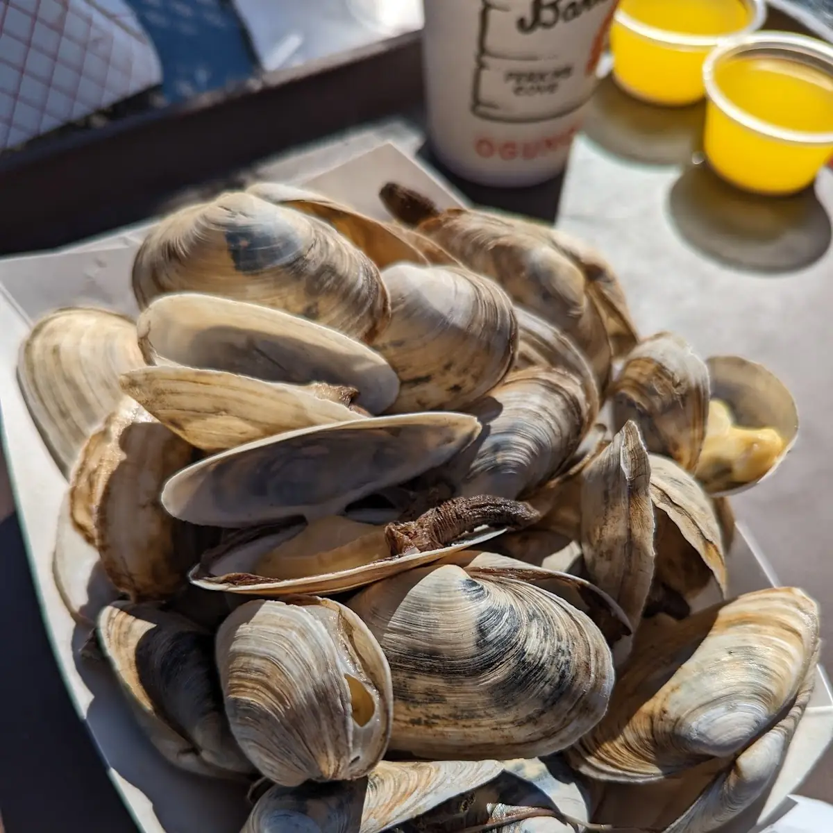 Steamed Clams