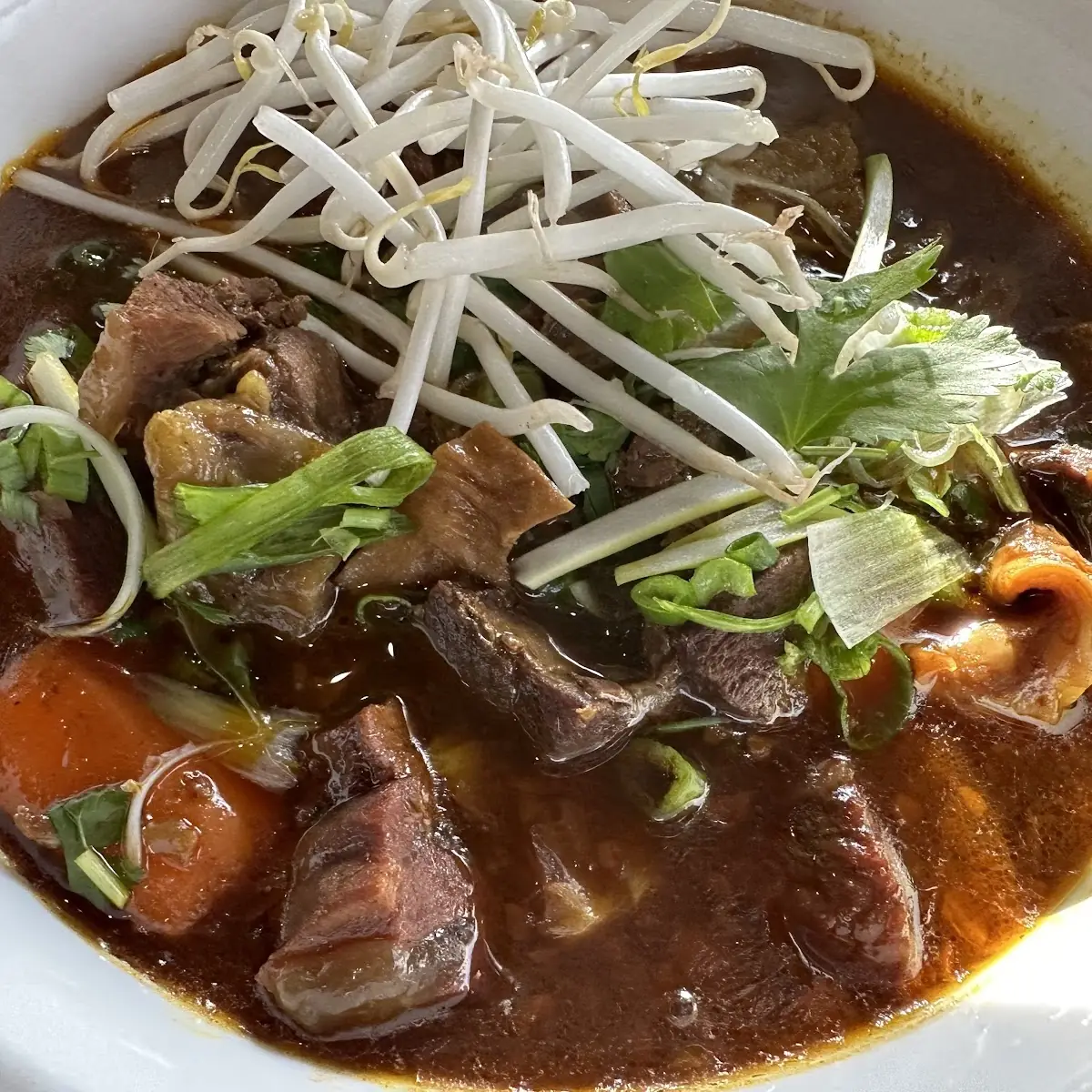 Stewed Beef Rice Noodle