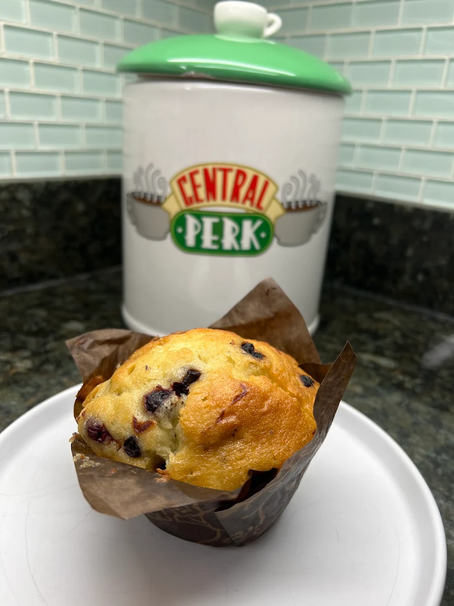Blueberry Muffin