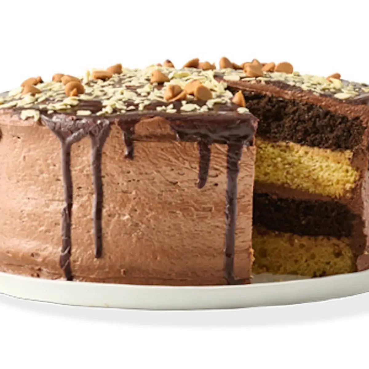 PB & Chocolate Cake Slice
