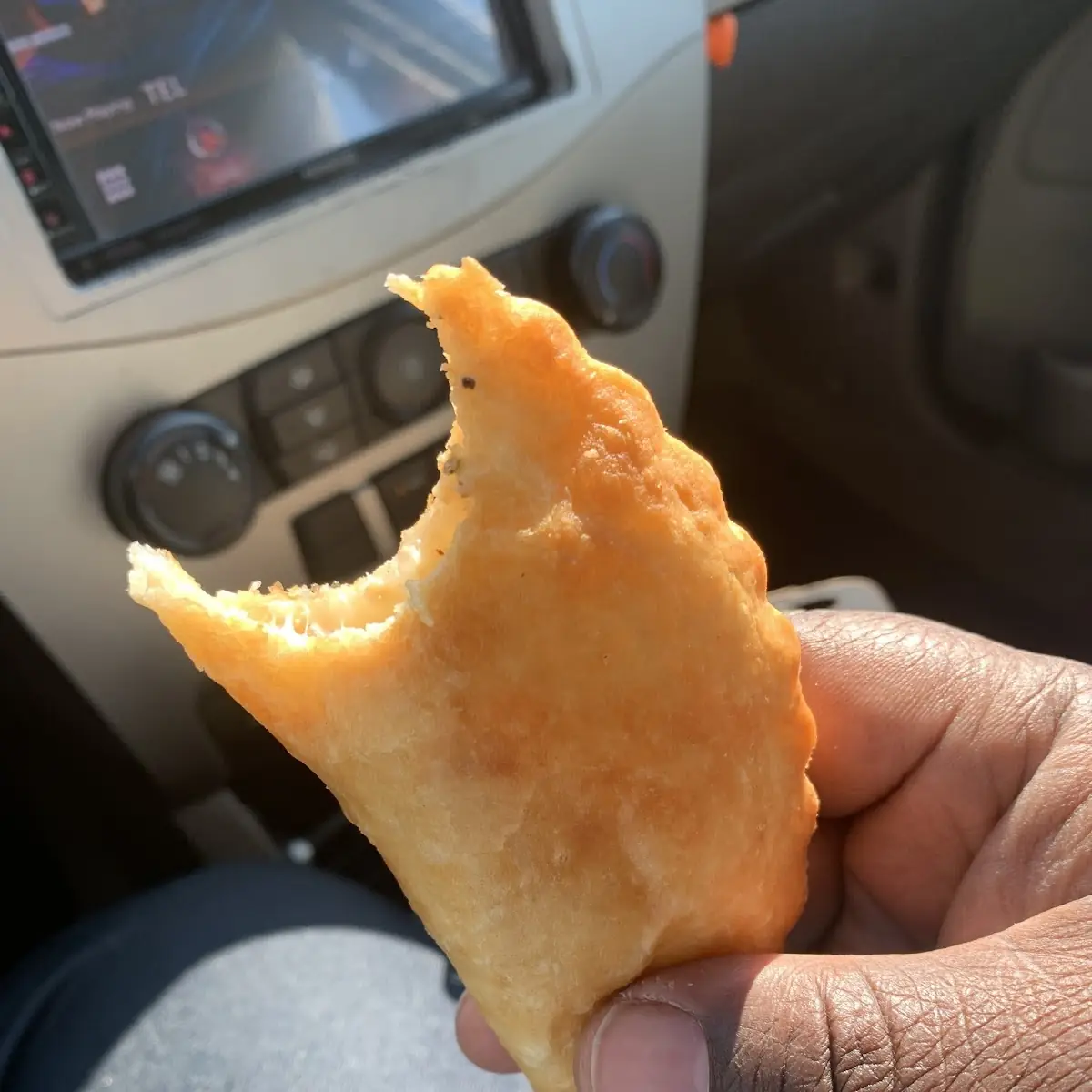 Chicken Empanada
