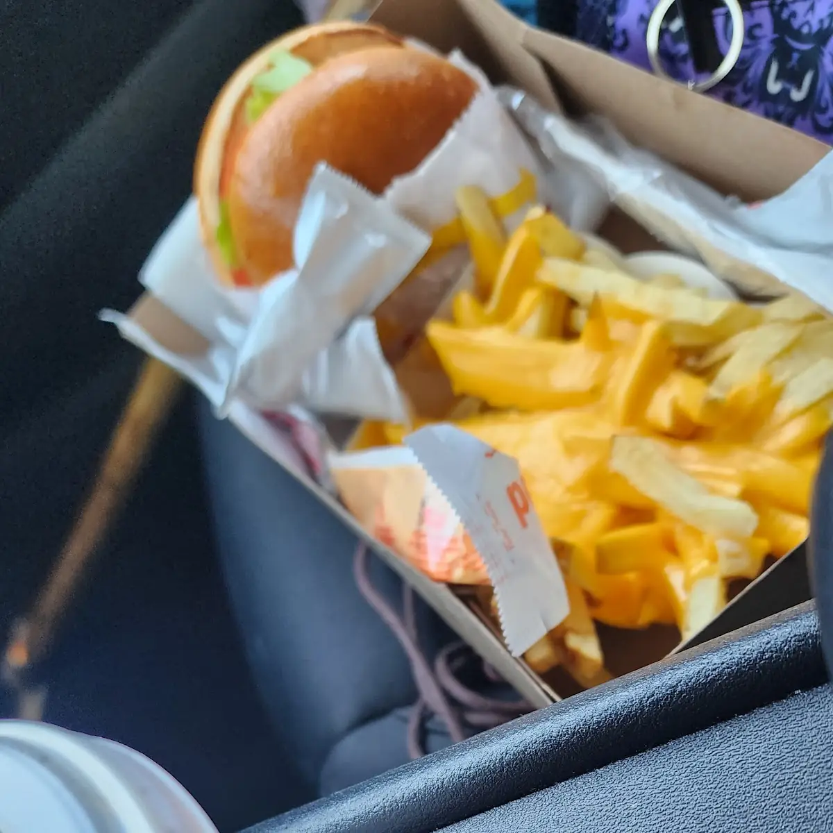 Cheese Fries