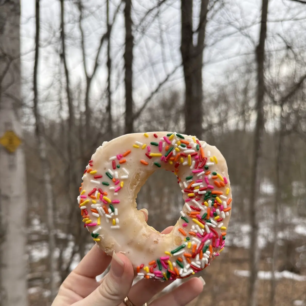 1 Donut