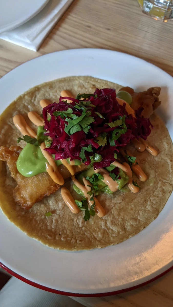 Fish Taco, Campechano College