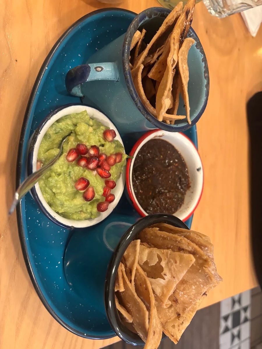 Salsa and Guacamole, Campechano College