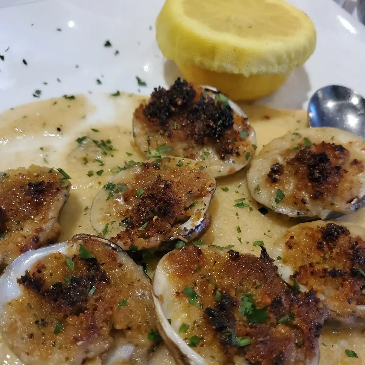 Vongole Gratinate