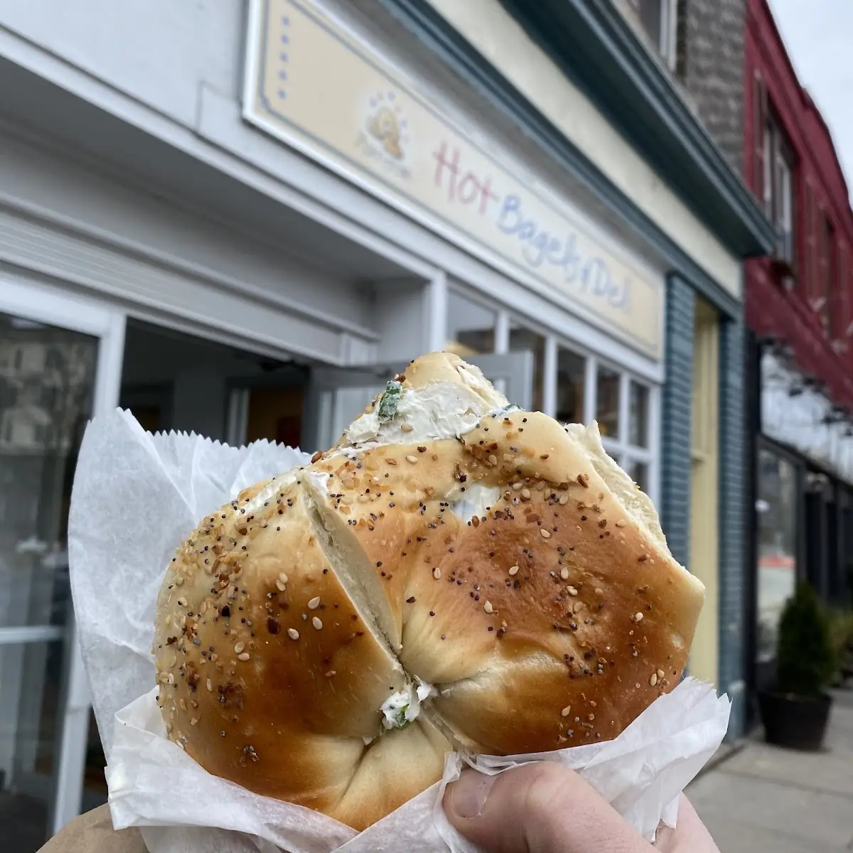 Everything Bagel with Cream Cheese