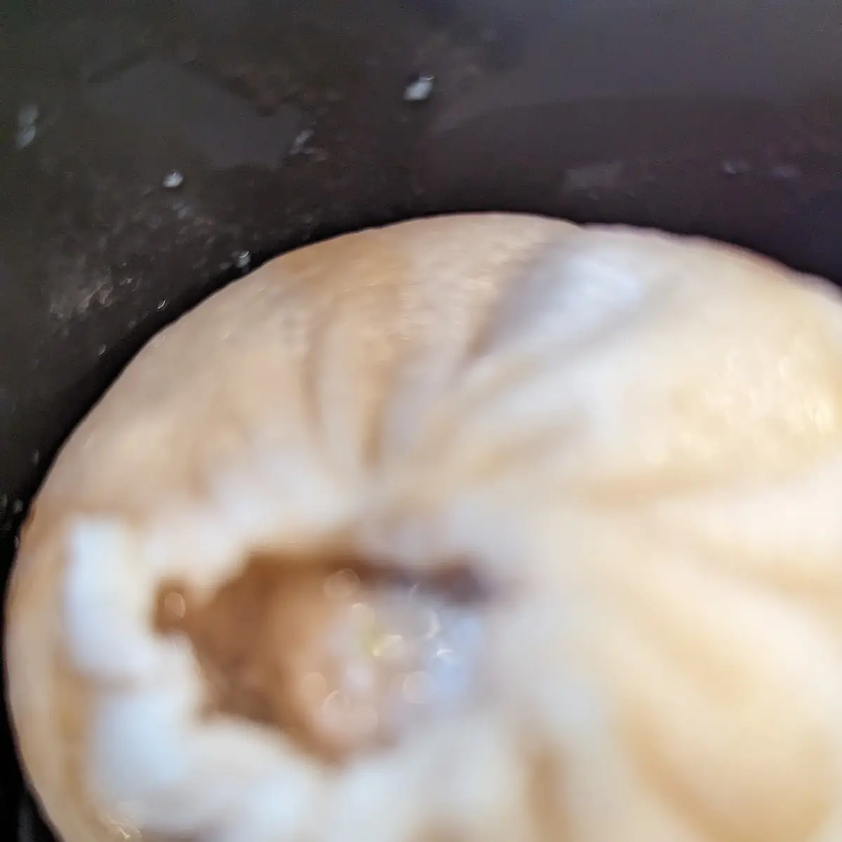 Soup Dumpling