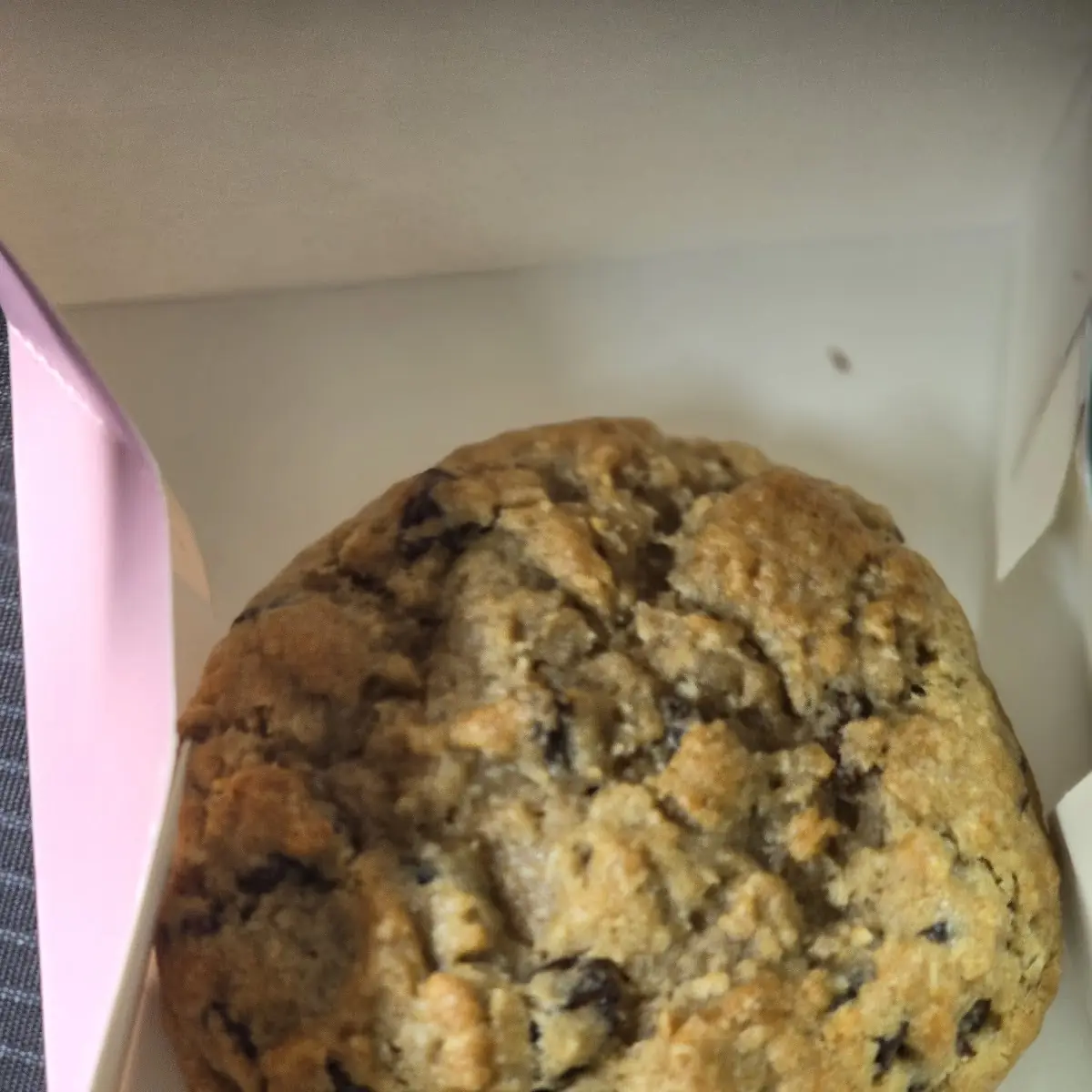 Oatmeal Raisin Cookie