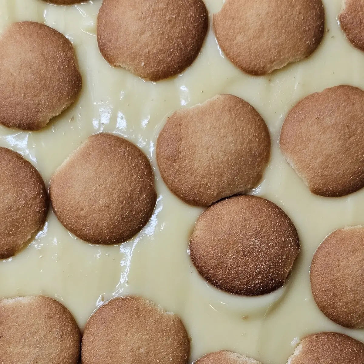Banana Pudding