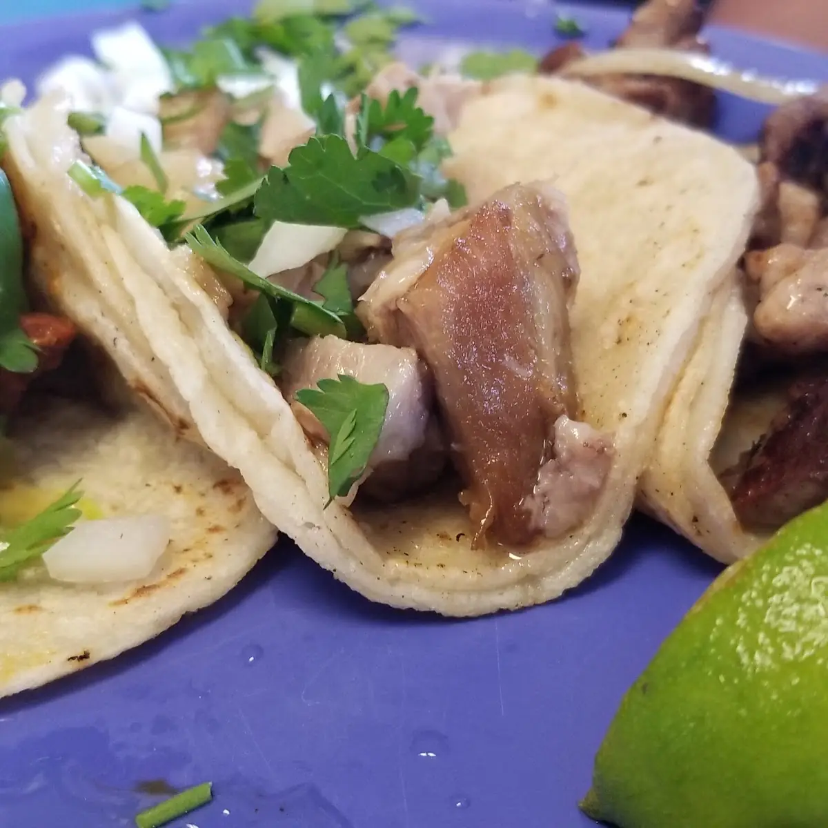 Tripitas Beef Tripe