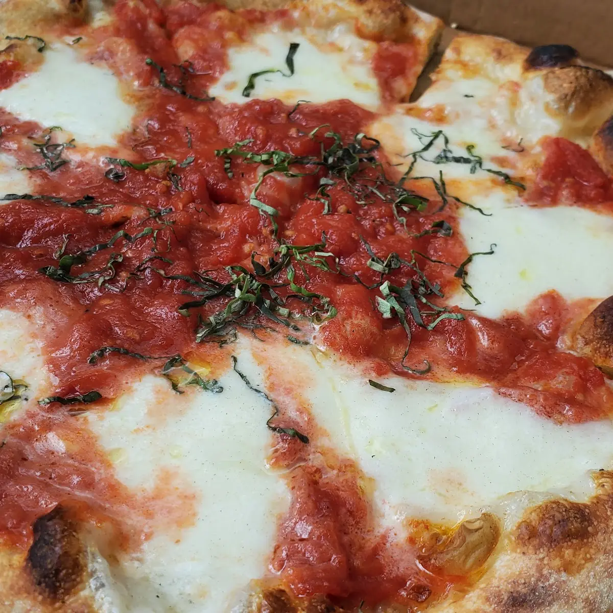 Margarita Pizza