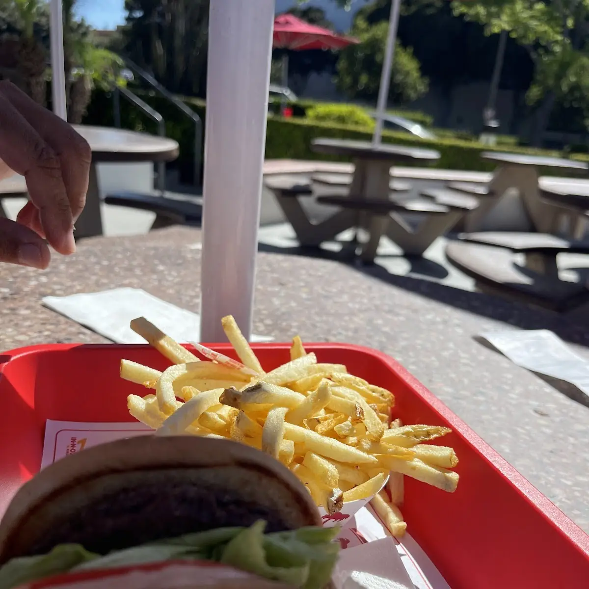 Burger and Fries