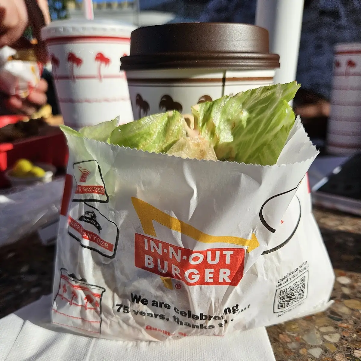 Double Double Cheeseburger Protein Style